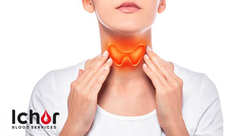 Thyroid Health: April Newsletter